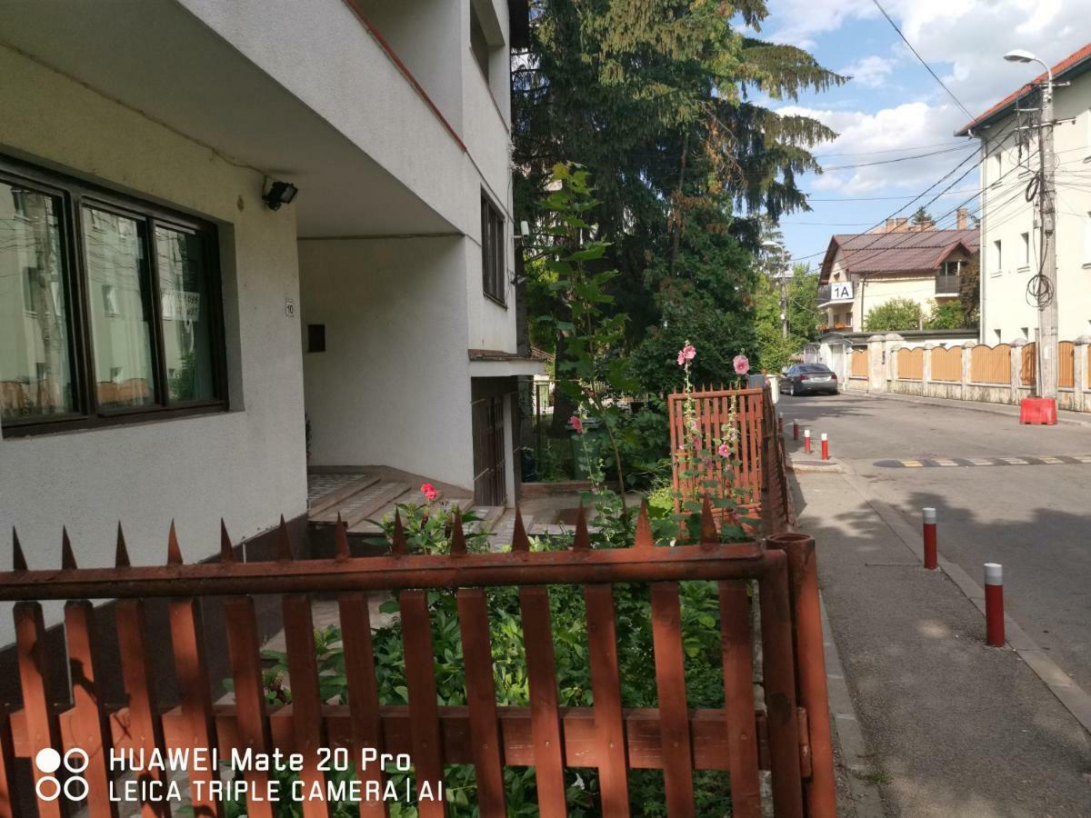 Enjoy Hostel Cluj-Napoca Eksteriør bilde