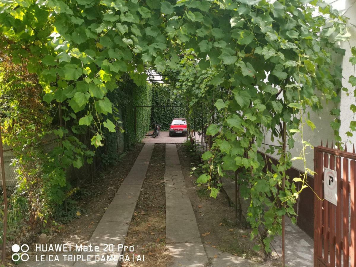 Enjoy Hostel Cluj-Napoca Eksteriør bilde